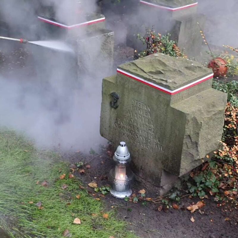 Renowacja, mycie i czyszczenie pomników historycznych